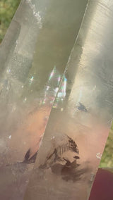 6" Extreme grade Natural CITRINE Lemurian Seed Crystal from Minas Gerais, Brazil- Channeler, Starbrary, Laser, Rainbows etc