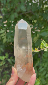 6" Extreme grade Natural CITRINE Lemurian Seed Crystal from Minas Gerais, Brazil- Channeler, Starbrary, Laser, Rainbows etc