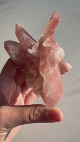 Dreamsicle Scarlet Temple Lemurian Seed Crystal from Brazil, Lemurian Seed Point, Lemurian Seed Crystal, Lemurian Seed Wand,Red Lemurian