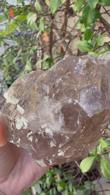 1.75lb RUTILATED Smoky Citrine from Brazil: DT, ET, Elestial, Record Keeper etc.