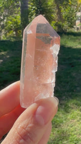 Lotus Quartz 5: Penetrator + Self Stands