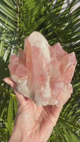 2.5+ lb Scarlet Temple Lemurian cluster from Diamantina, Brazil