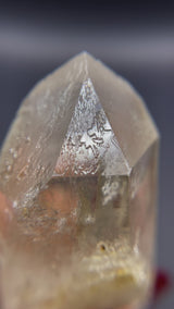 Raised RECORD KEEPER Starbrary Citrine from Brazil