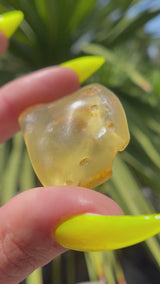 "ANCIENT": High Grade Amber from Colombia, Colombian Amber, Tumbled Amber, Authentic Amber