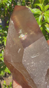 "Rainbow Brite": 5" Sugar Plum Quartz from Goias, Brazil: Rainbows, ET, Ally, Penetrator, Sigils, etc