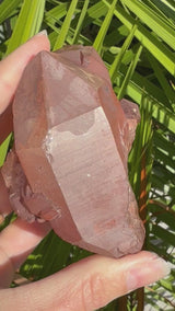 Rare: Triplet DT Scarlet Temple Lemurian cluster from Brazil, Red Lemurian, Lemurian Seed Crystal,Lemurian Cluster,Rare Lemurian,DT Lemurian