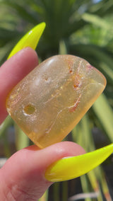 "COMET": High Grade Amber from Colombia, Colombian Amber, Tumbled Amber, Authentic Amber