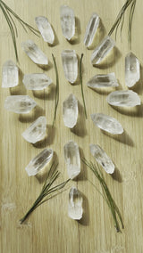 Clear Lemurian Seed Crystal Point