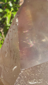 "Rainbow Brite": 5" Sugar Plum Quartz from Goias, Brazil: Rainbows, ET, Ally, Penetrator, Sigils, etc