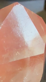 Lotus Quartz 3: Record Keeper