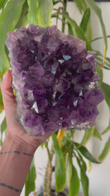 4.5+ lb Grape-Jelly Amethyst Geode Cluster from Brazil