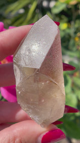 Raised RECORD KEEPER Starbrary Citrine from Brazil