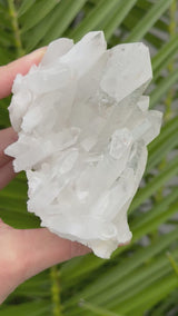 1.25 lb Self Healed Clear Himalayan Quartz Cluster
