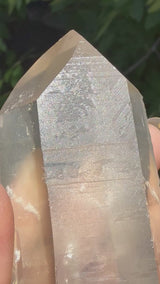 6" Extreme grade Natural CITRINE Lemurian Seed Crystal from Minas Gerais, Brazil- Channeler, Starbrary, Laser, Rainbows etc