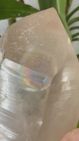 Rare DOW Natural CITRINE Lemurian Seed Crystal from Minas Gerais Brazil