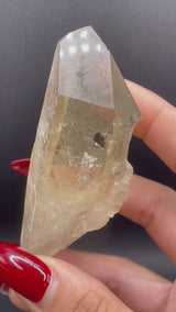 Raised RECORD KEEPER Starbrary Citrine from Brazil