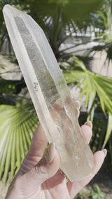 Natural CITRINE Lemurian Seed Crystal from Minas Gerais Brazil, Self stands, Artemis, Dauphine Habit, Starbrary, Citrine Lemurian