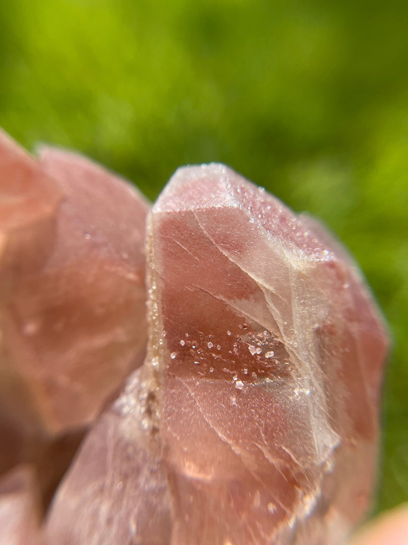 Scarlet Temple Lemurian cluster from Diamantina, Brazil, Red Lemurian