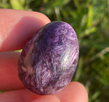 AA Grade Polished Charoite Egg, Natural crystal, Charoite, Charoite Pocket Stone, Purple Crystal