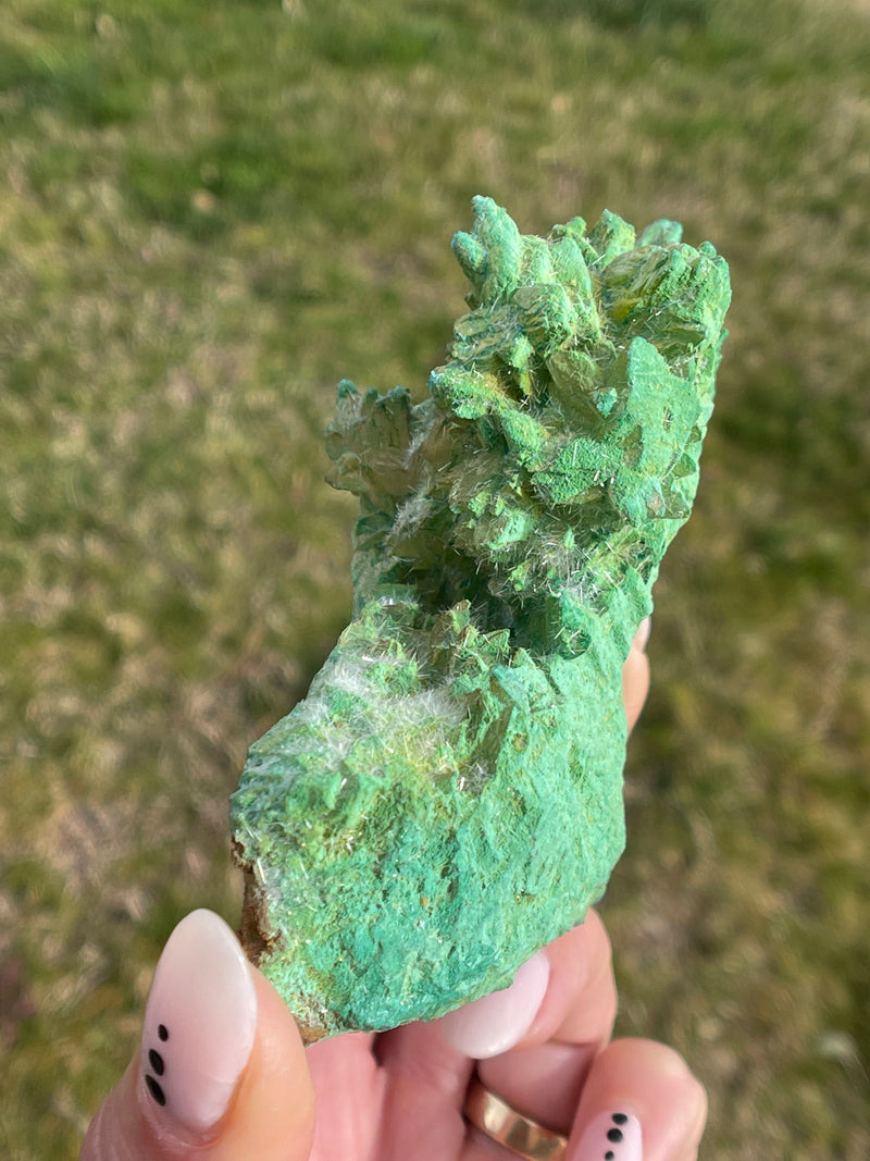 RARE: Kobyashicite ps. Calcite with Gypsum; Mina La Ojuela, Mapimi, Durango, Mexico