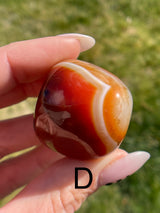 Large tumbled Sardonyx