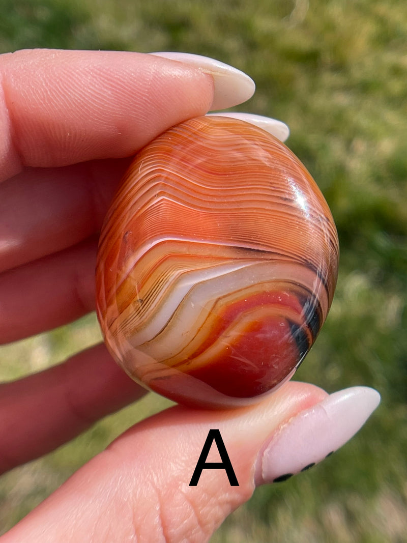 Large tumbled Sardonyx